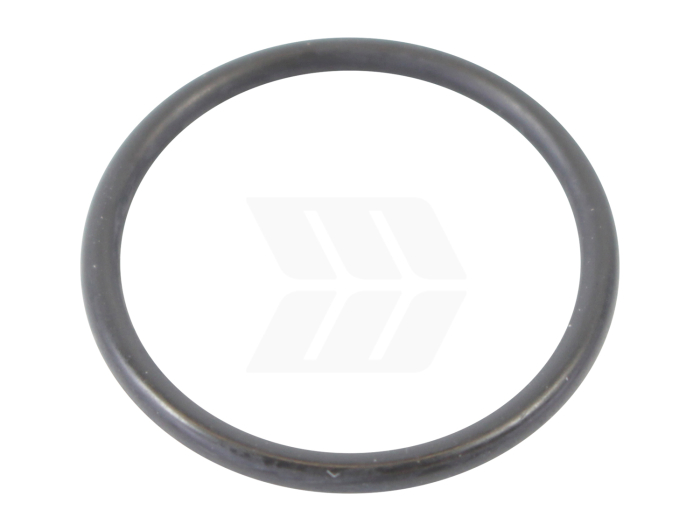 O-Ring - Detail 1