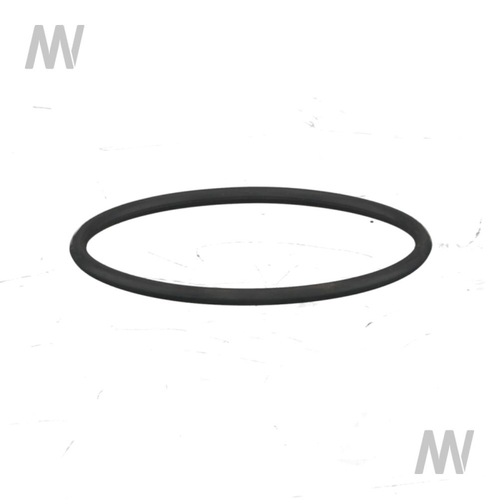 O-RING - Detail 1