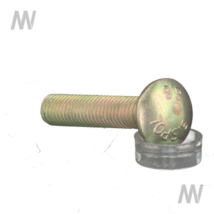 Carriage bolt - Detail 1