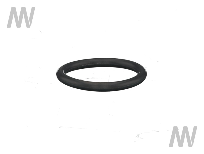 Dichtring - Detail 1