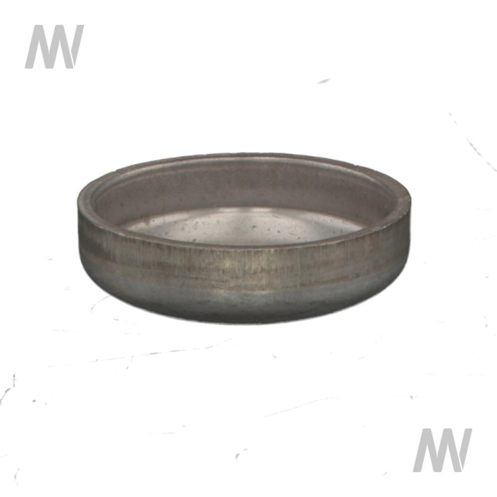 Plug 1 inch 25.8 X 7.8 - Detail 1