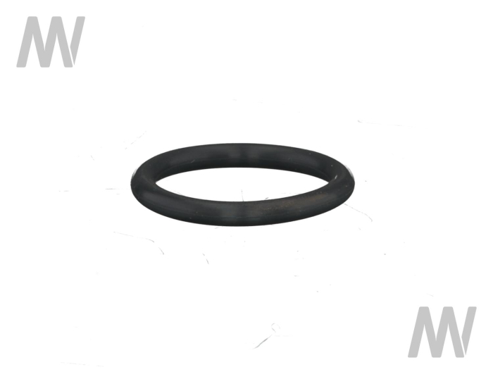 O-Ring - Detail 1