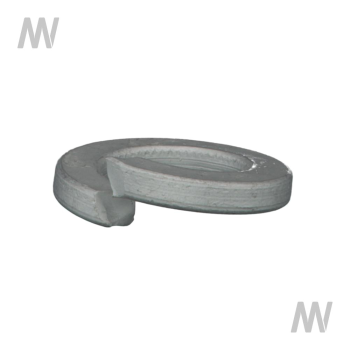 Federring 5/8 - Detail 1