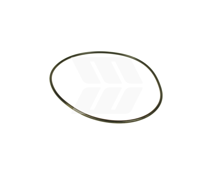 O-ring - Detail 1