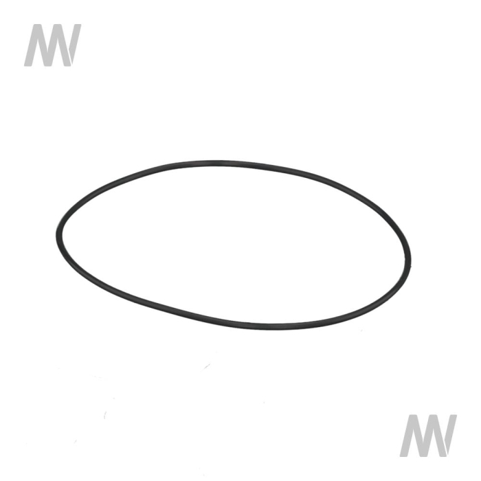 Lip seal ring - Detail 1