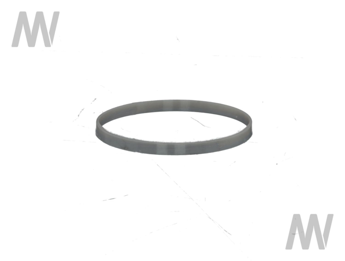 Bremsring - Detail 1