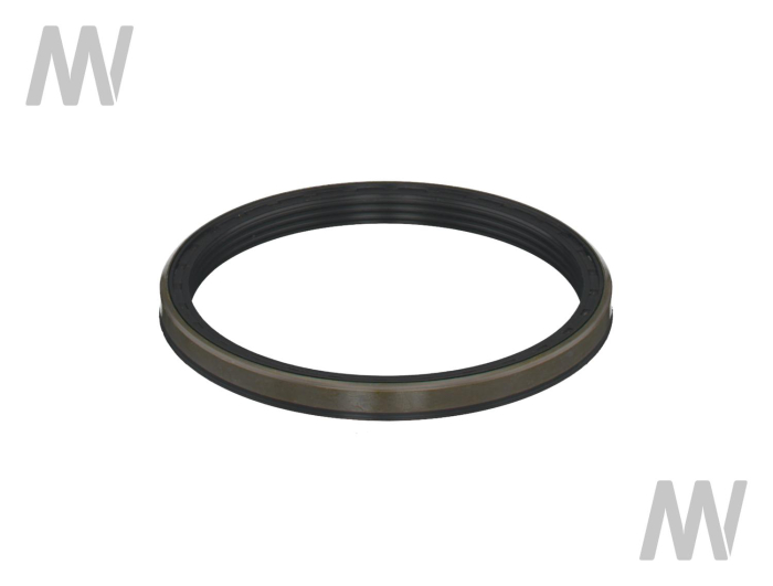 Shaft seal ring - Detail 1