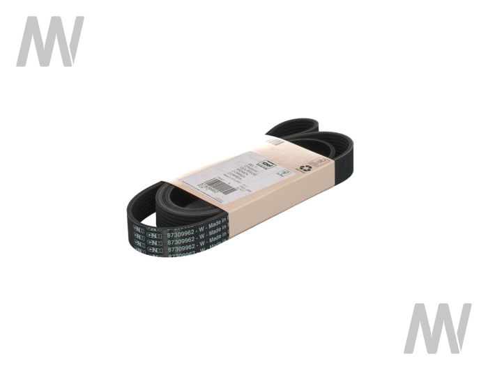 Grooved belt - Detail 1