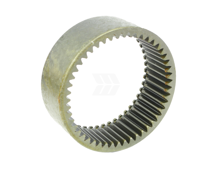 48 Zähne - Detail 1