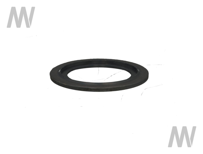 Dichtring - Detail 1
