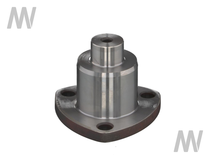 Achsschenkelbolzen - Detail 1