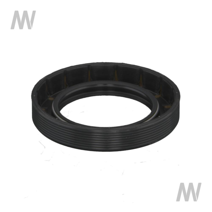 Shaft seal ring - Detail 1