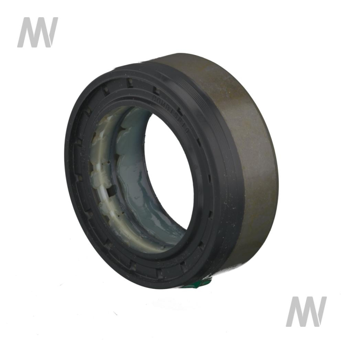 Shaft seal ring - Detail 1