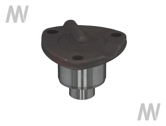 Achsschenkelbolzen - Detail 1