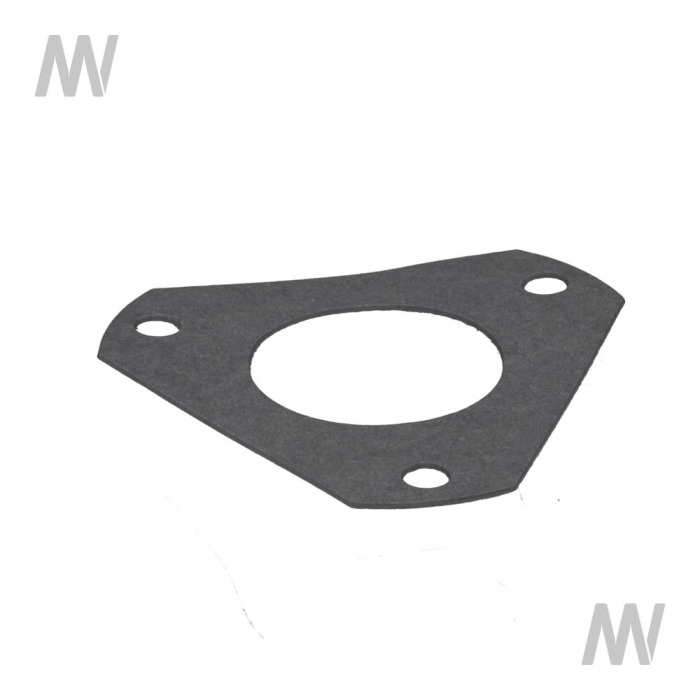 Dichtung f. Einspritzpumpe MAXXUM - Detail 1