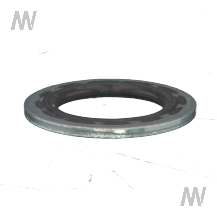 Dichtring - Detail 1