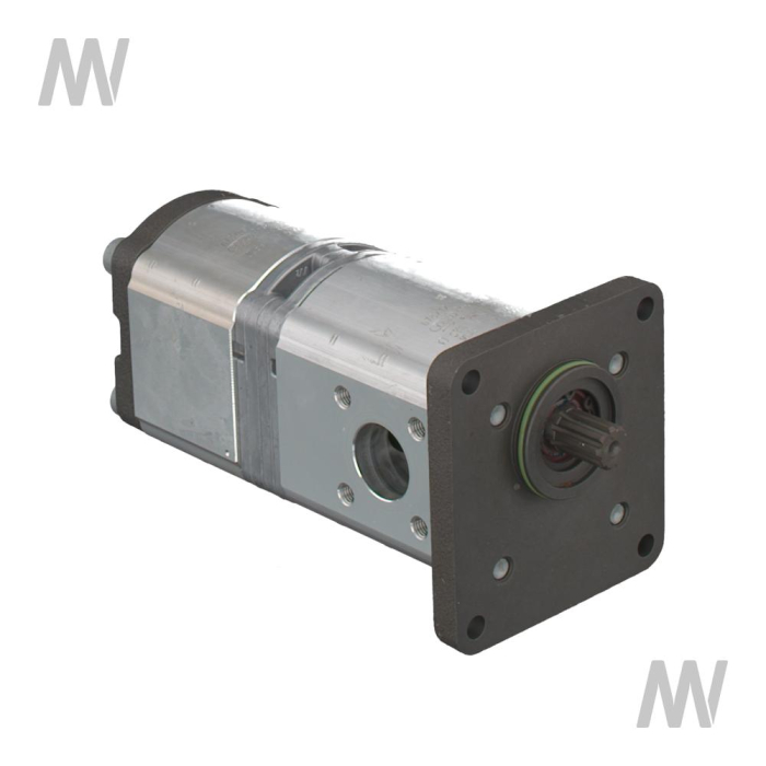 Case IH Tandemhydraulikpumpe - Detail 1