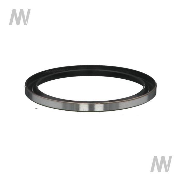 Dichtring - Detail 1