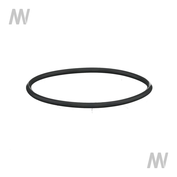 O-Ring - Detail 1