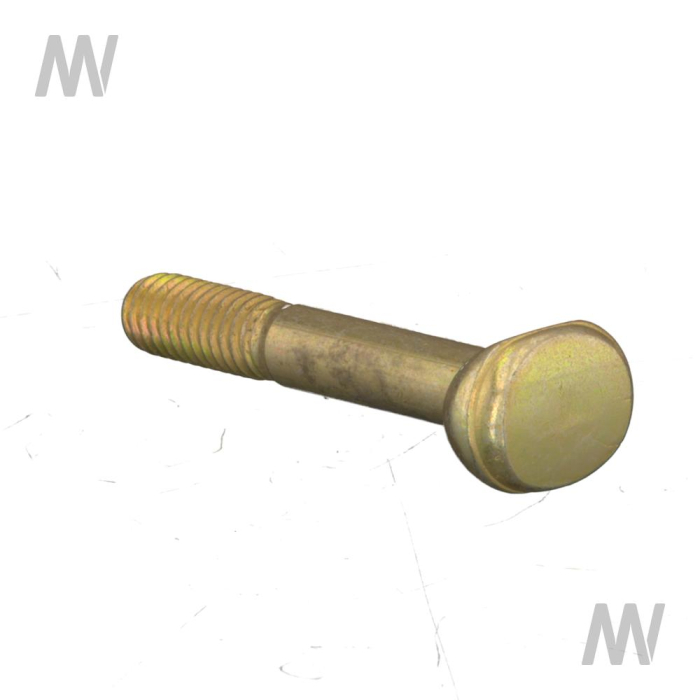 Spezialschraube (Ovalkopf) - Detail 1