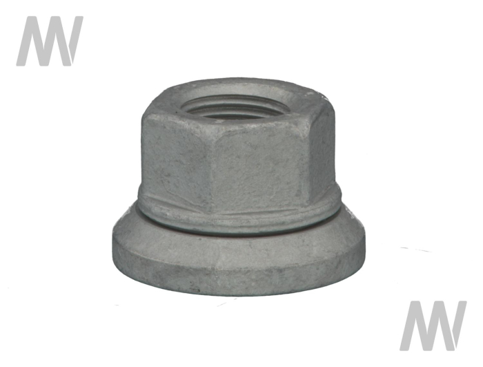 Radmutter mit Druckscheibe - Detail 1