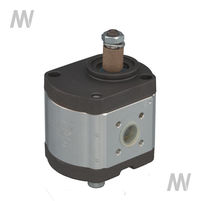 Case IH Hydraulikpumpe - Detail 1