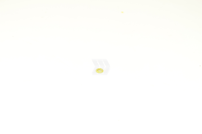 O-ring - Detail 1