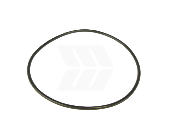 O-Ring - Detail 1