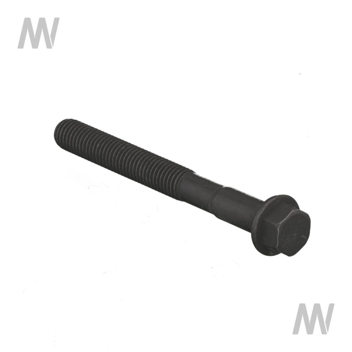 Cylinder head screw - Detail 1