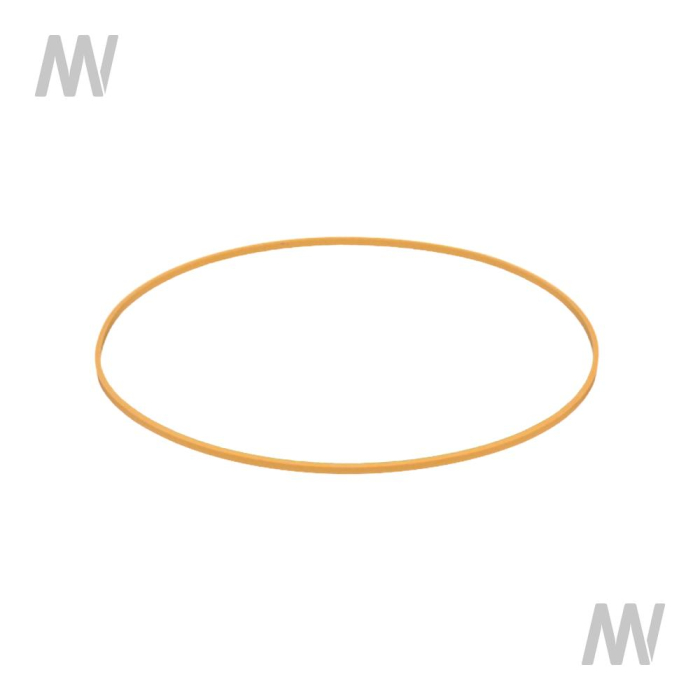 Dichtring - Detail 1