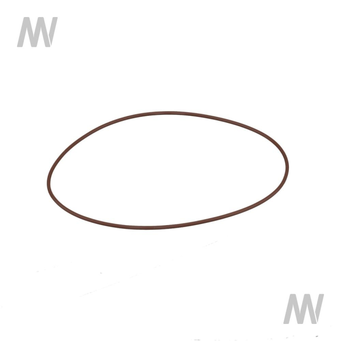 Dichtring - Detail 1