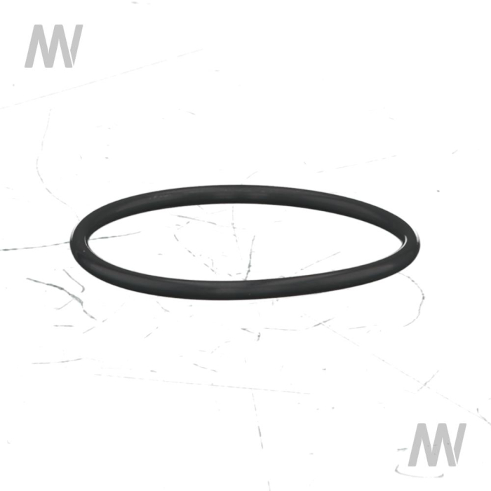 O-ring - Detail 1