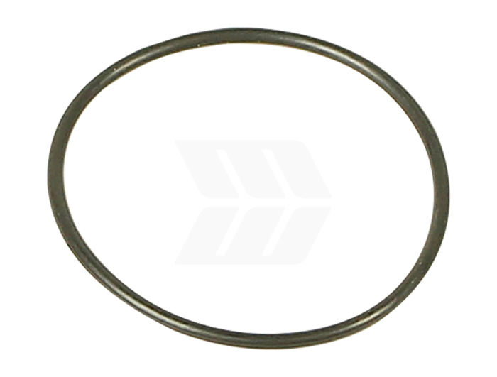 O-Ring - Detail 1