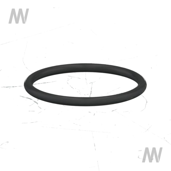 O-Ring - Detail 1