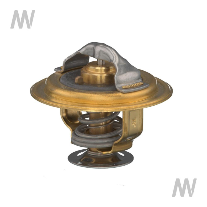 Thermostat - Detail 1