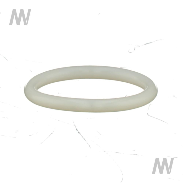 O-ring - Detail 1