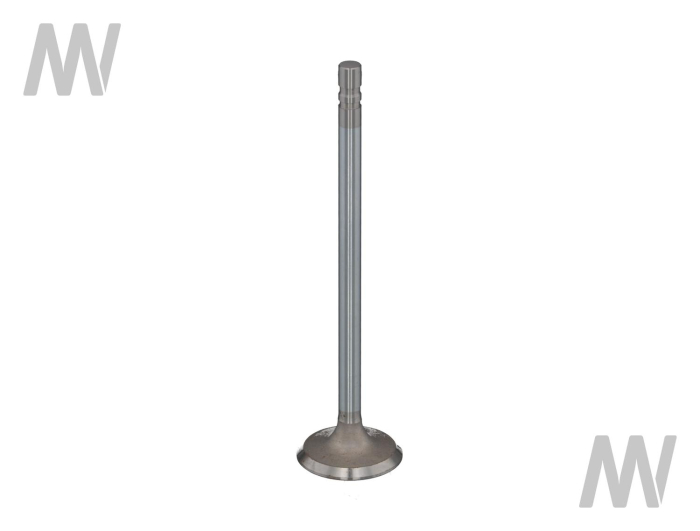 EINLASSVENTIL - Detail 1