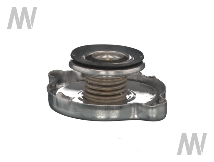 Kühlerdeckel - Detail 1