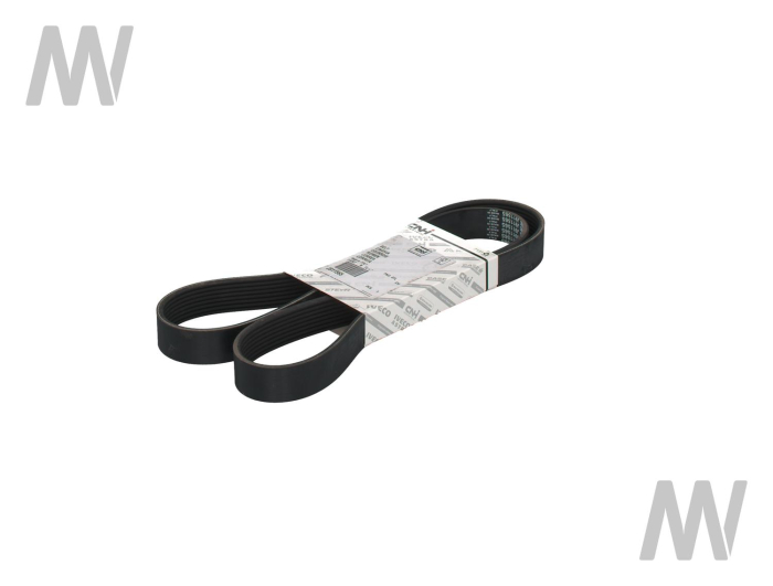 Grooved belt - Detail 1