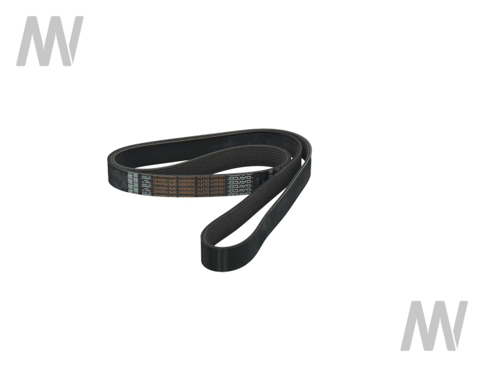 Grooved belt 8PK 1650 - Detail 1