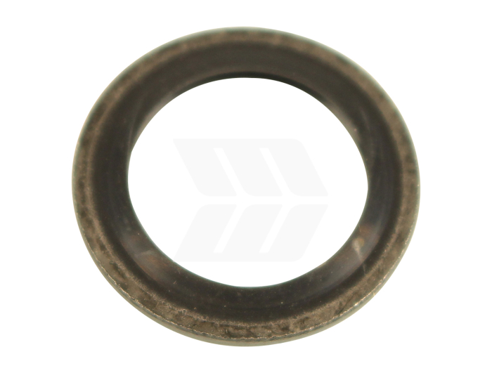 Dichtring - Detail 1
