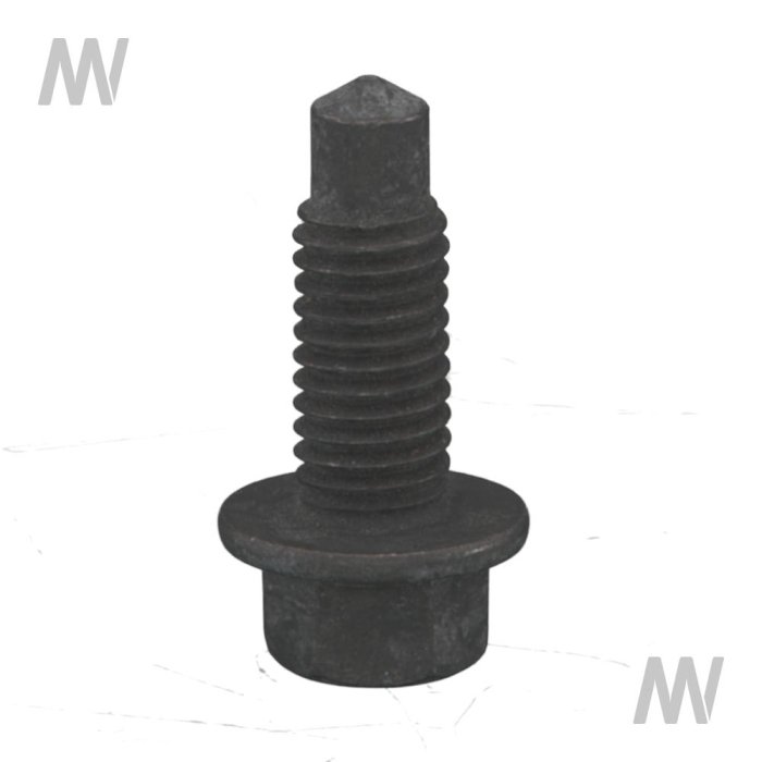 Spezialschraube - Detail 1