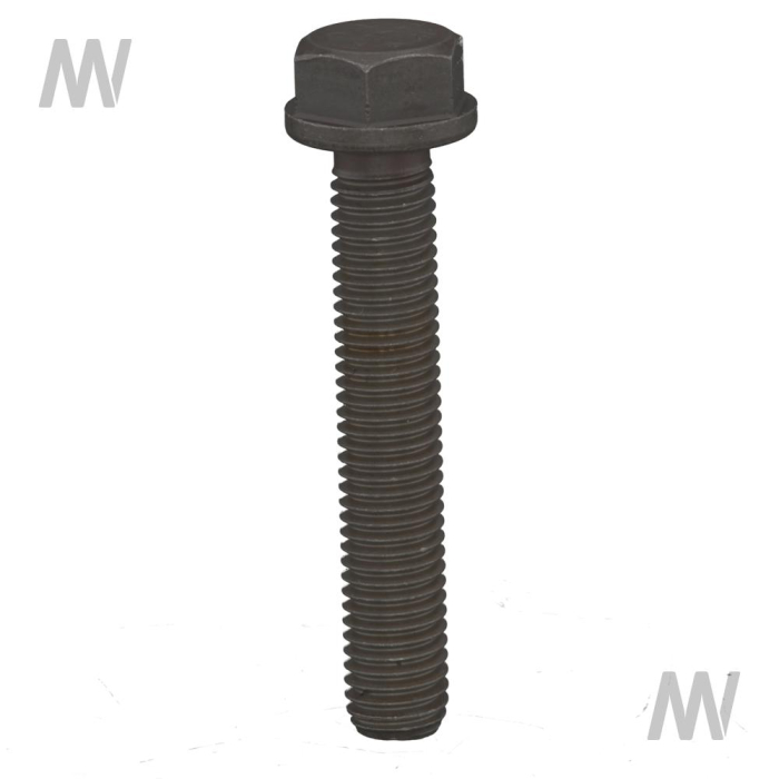 Cylinder head screw - Detail 1
