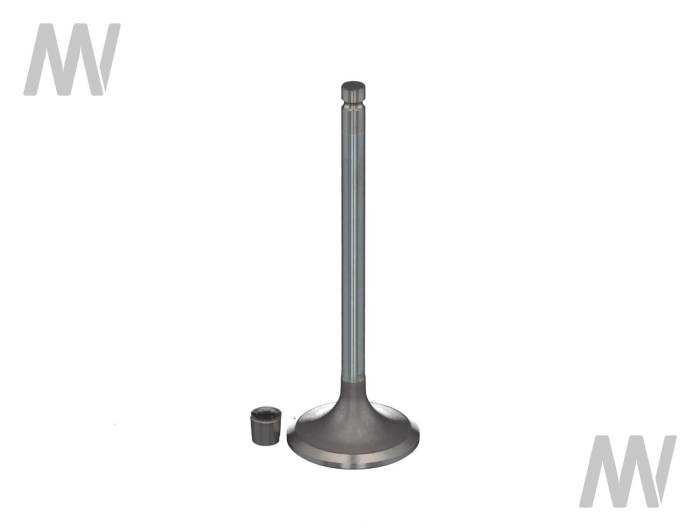 Einlassventil - Detail 1