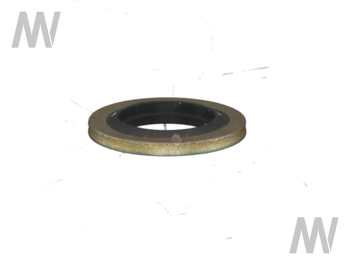 Dichtring - Detail 1