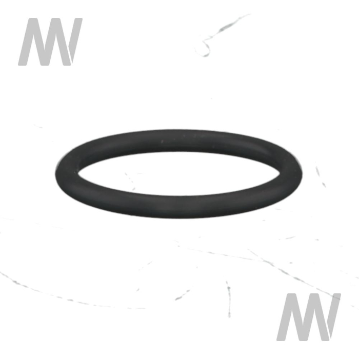 O-Ring f. Injektor - Detail 1