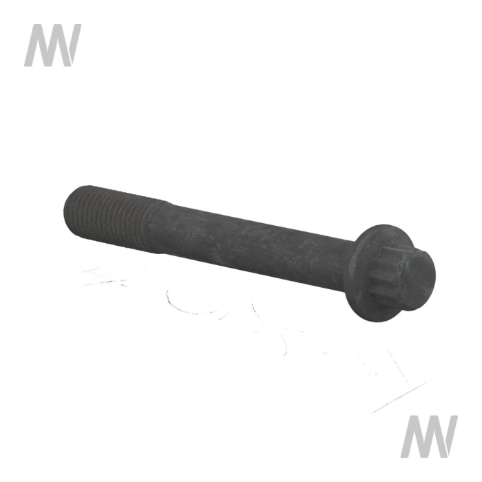BOLT - Detail 1
