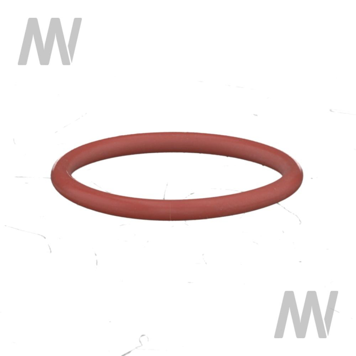 O Ring - Detail 1