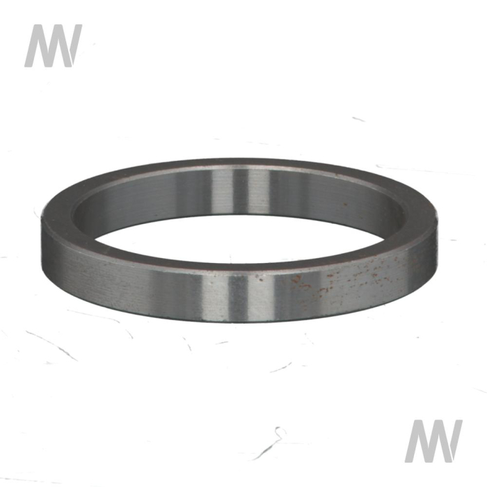 Ring - Detail 1