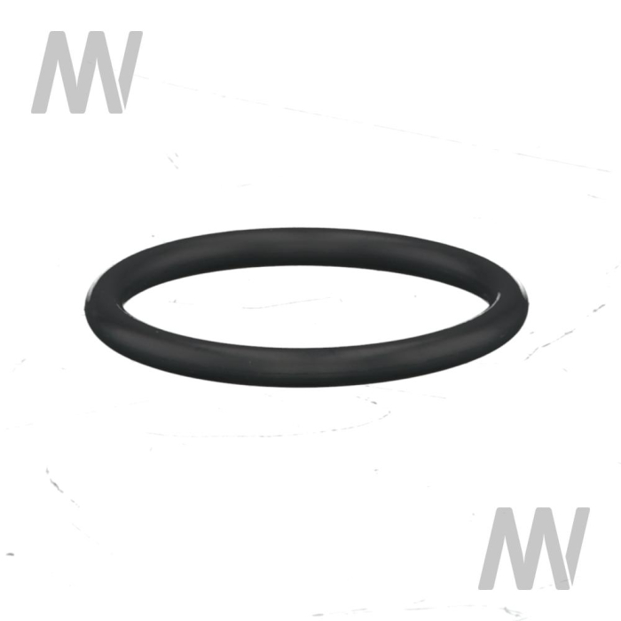 O-Ring - Detail 1